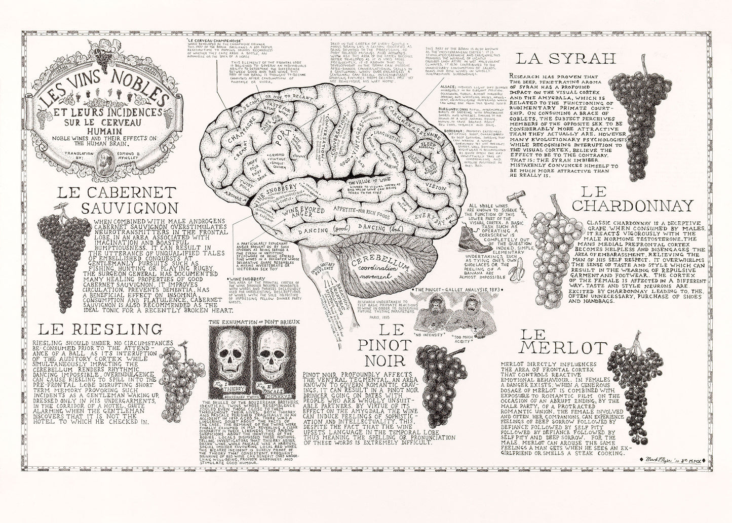 Wine's effect on the brain