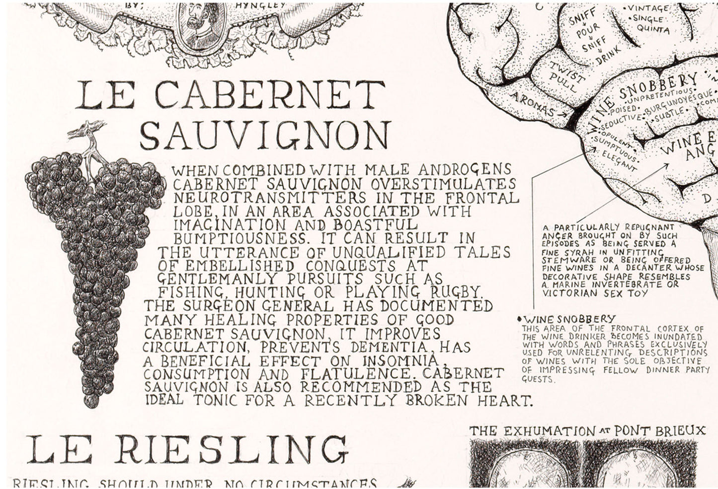 Cabernet Sauvignon effects on brain