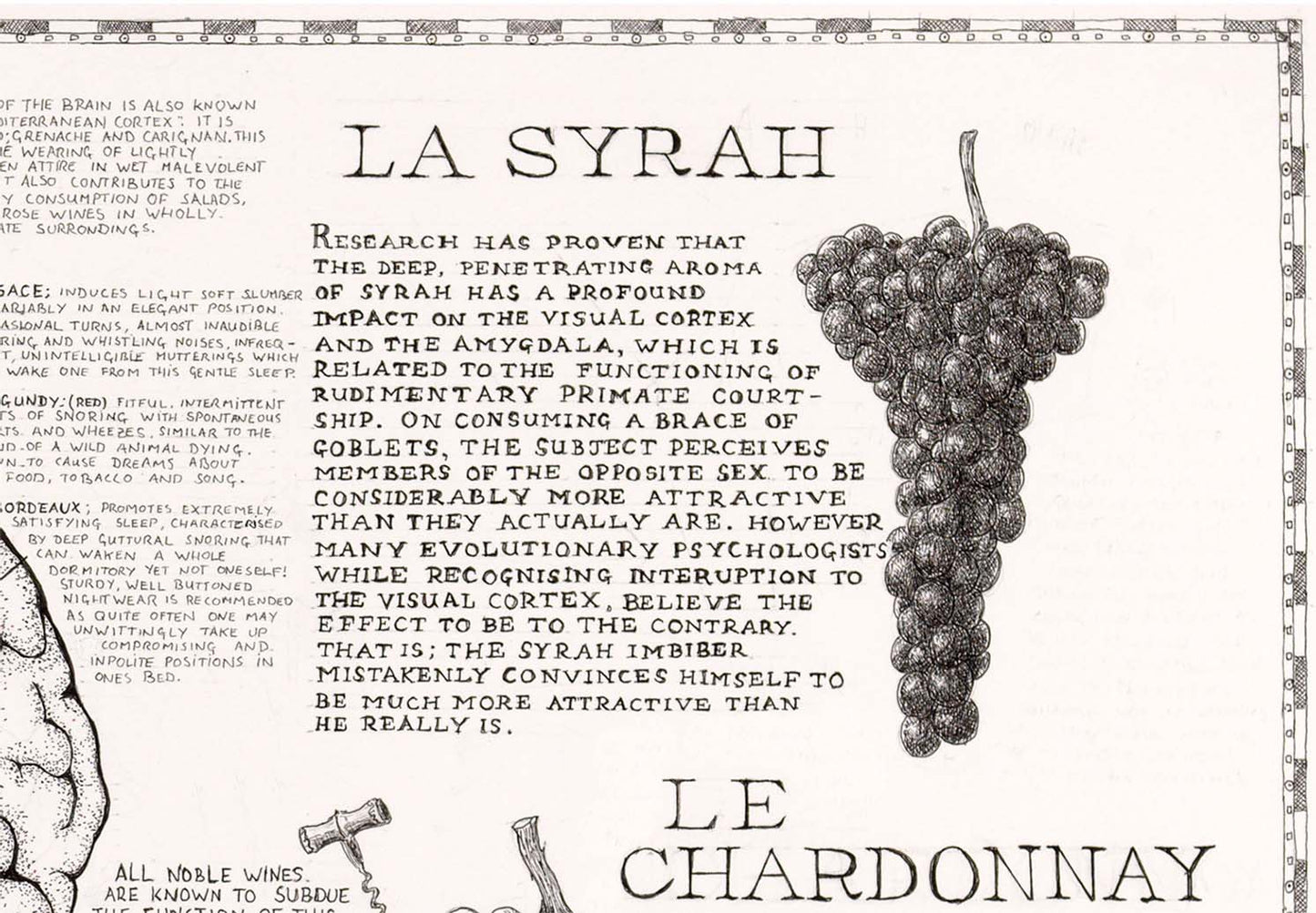 Syrah effects