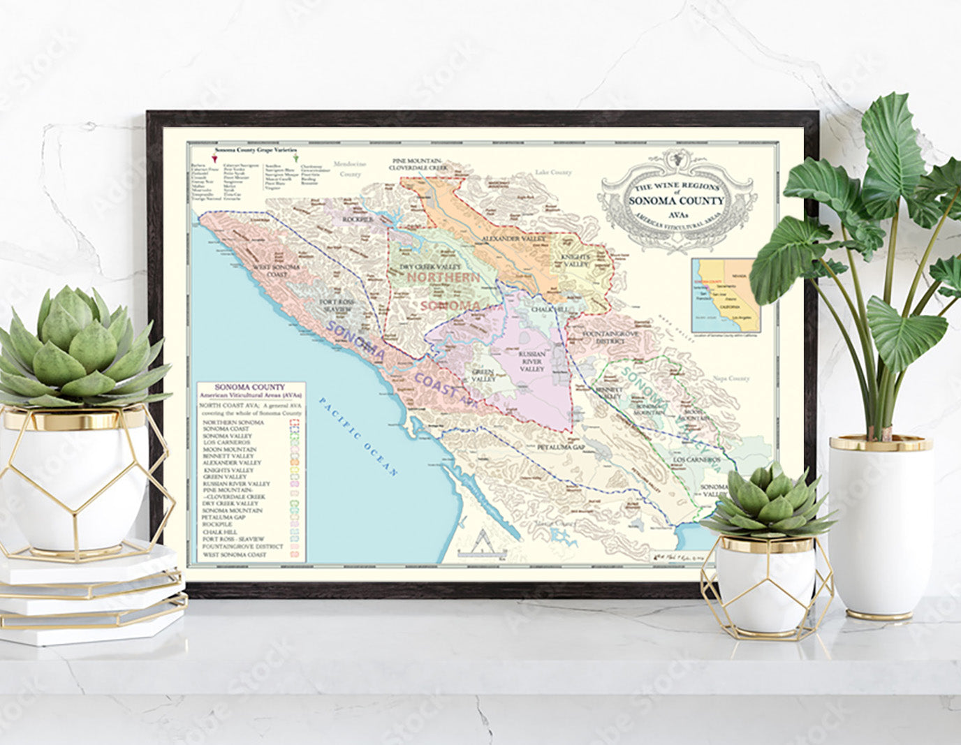 framed sonoma wine map